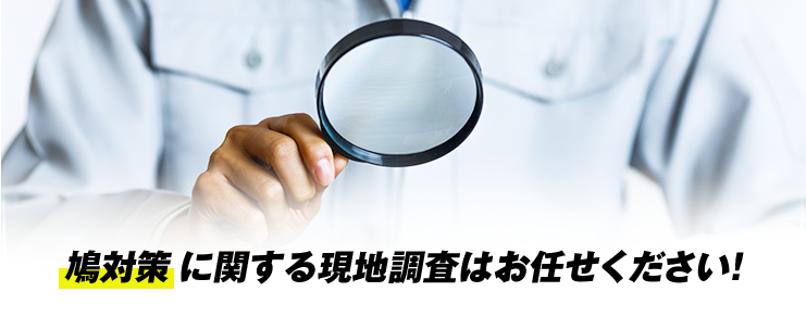 鳩対策に関する現地調査はお任せください！