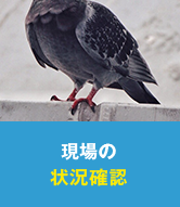 現場の状況確認