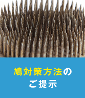 鳩対策方法のご提示