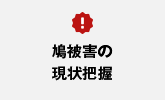 鳩被害の現状把握