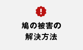 鳩の被害の解決方法