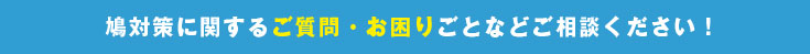 鳩対策に関するご質問・お困りごとなどご相談ください！
