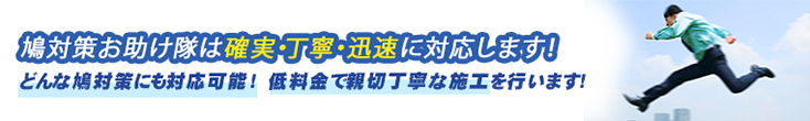 鳩対策お助け隊は確実・丁寧・迅速に対応します！どんな鳩にも対応可能!  低料金で親切丁寧な施工を行います!