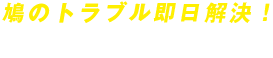 鳩のトラブル即日解決！ 24時間365日受付中