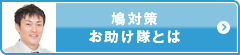 鳩対策お助け隊とは