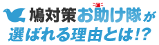 鳩対策お助け隊が選ばれる理由とは!?