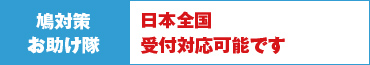 鳩対策お助け隊 日本全国対応しております
