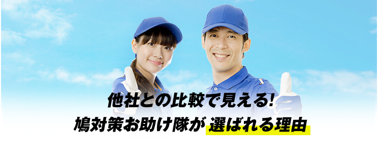 他社との比較で見える！鳩対策お助け隊が選ばれる理由
