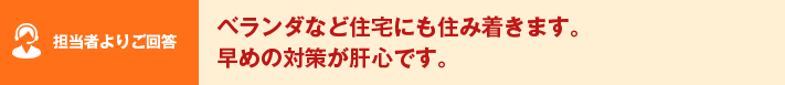 担当者よりご回答 ベランダなど住宅にも住み着きます。早めの対策が肝心です。