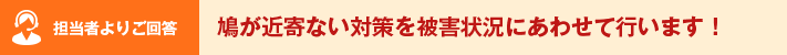 担当者よりご回答 鳩が近寄ない対策を被害状況にあわせて行います！