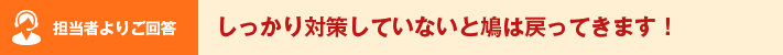 担当者よりご回答 しっかり対策していないと鳩は戻ってきます！