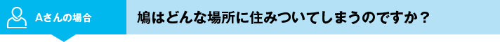Aさんの場合 鳩はどんな場所に住みついてしまうのですか？