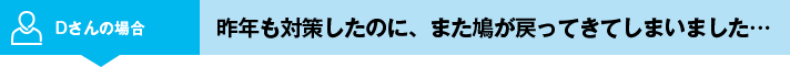 Dさんの場合 昨年も対策したのに、また鳩が戻ってきてしまいました…