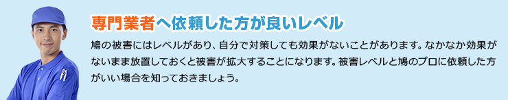 専門業者へ依頼した方が良いレベル 鳩の被害にはレベルがあり、自分で対策しても効果がないことがあります。なかなか効果がないまま放置しておくと被害が拡大することになります。被害レベルと鳩のプロに依頼した方がいい場合を知っておきましょう。