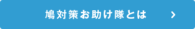 鳩対策お助け隊とは