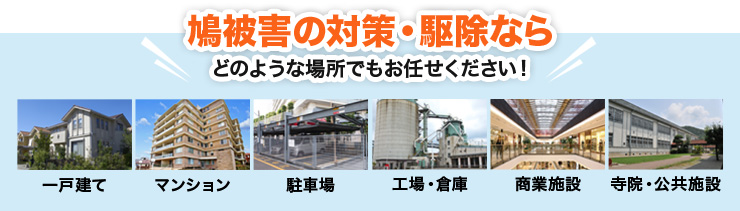 鳩被害の対策・駆除なら どのような場所でもお任せください