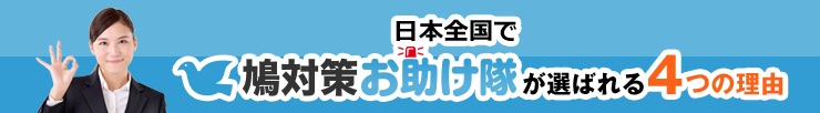 日本全国で鳩対策お助け隊が選ばれる4つの理由